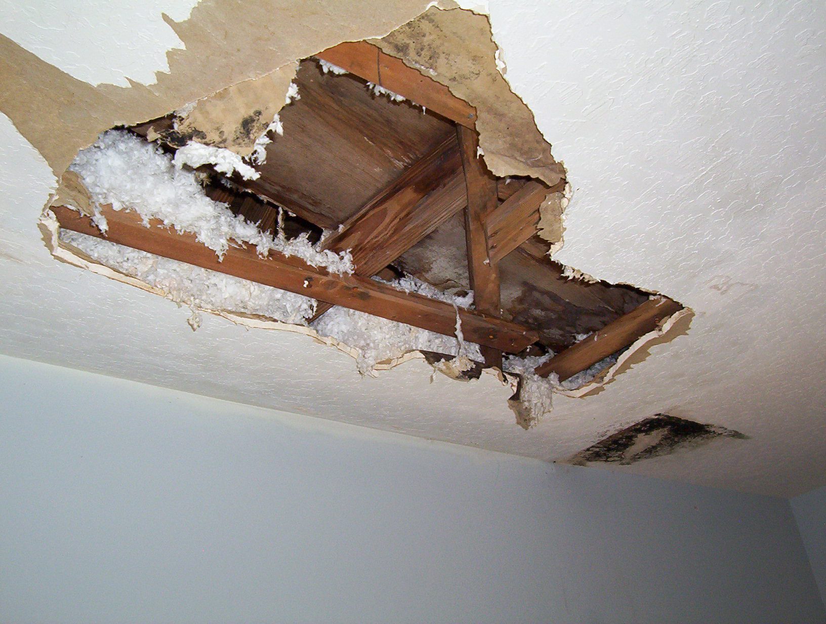 Top 5 Signs You Might Have Water Damage